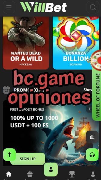 BC.Game Opiniones: What Players Say-vz72fvrf.com